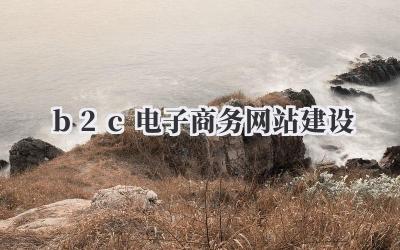 b2c电子商务网站建设