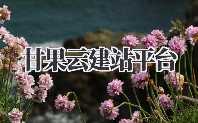 甘果云建站平台